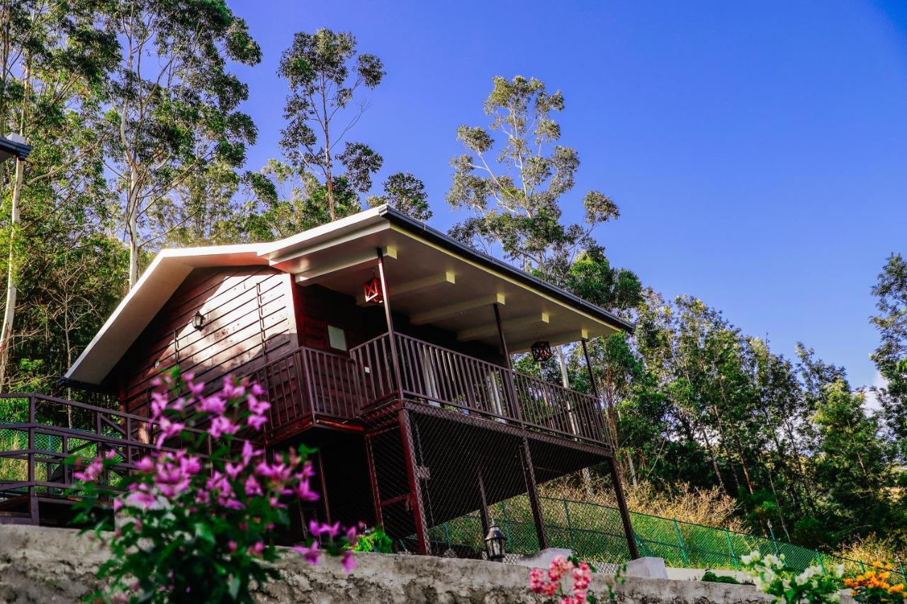 Wild Orchid Eco Tourism Муннар Экстерьер фото