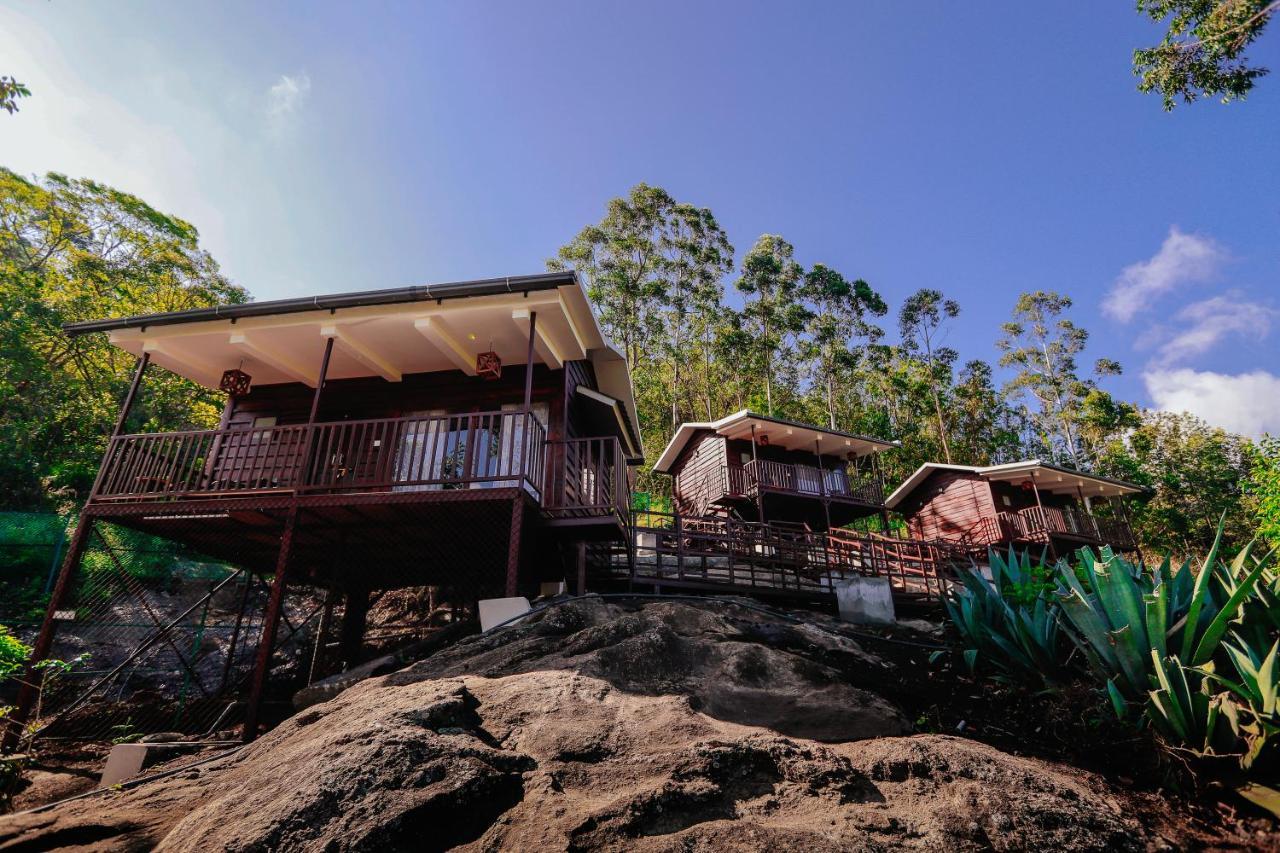 Wild Orchid Eco Tourism Муннар Экстерьер фото